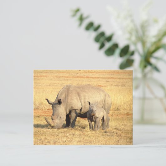 Cute rhinoceros in afrika briefkaart (Staand voorkant)