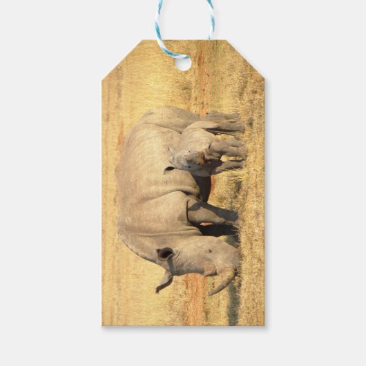 Cute rhinoceros in afrika cadeaulabel (Voorkant)