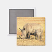 Cute rhinoceros in afrika magneet (Voorkant / Achterkant)
