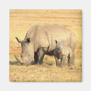 Cute rhinoceros in afrika magneet