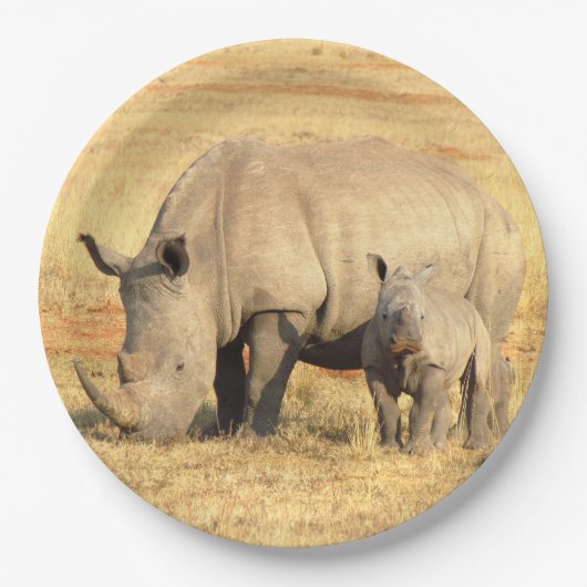 Cute rhinoceros in afrika papieren bordje (Voorkant)