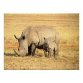 Cute rhinoceros in afrika perfect poster (Voorkant)