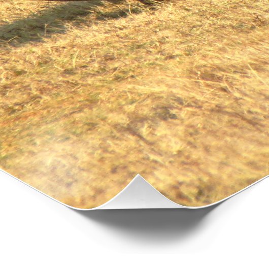 Cute rhinoceros in afrika perfect poster (Hoek)