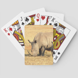 Cute rhinoceros in afrika pokerkaarten
