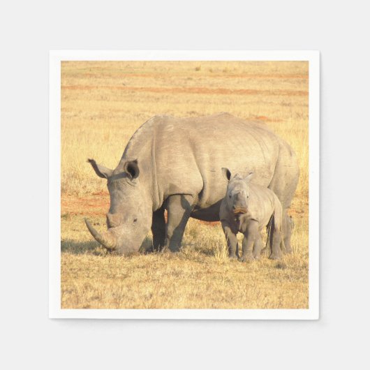 Cute rhinoceros in afrika servet (Voorkant)
