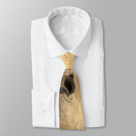 Cute rhinoceros in afrika stropdas (Gebonden)