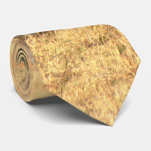 Cute rhinoceros in afrika stropdas (Opgerold)