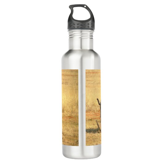 Cute rhinoceros in afrika waterfles (Achterkant)