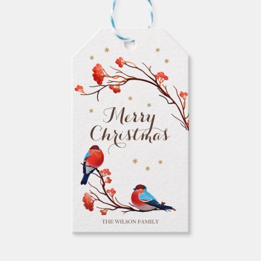 Cute Robin Birds op Red Berry Branch Kerstmis Cadeaulabel (Voorkant)