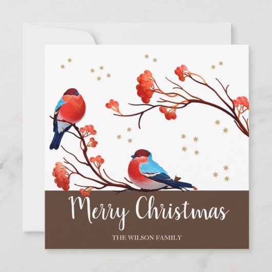 Cute Robin Birds op Red Berry Branch Kerstmis Feestdagenkaart (Voorkant)