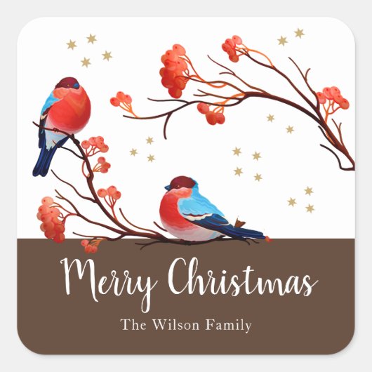 Cute Robin Birds op Red Berry Branch Kerstmis Vierkante Sticker (Voorkant)