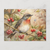 Cute Robin Briefkaart (Voorkant)