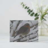 Cute Robin Close Up in Snow DIY Postcard Feestdagenkaart (Staand voorkant)