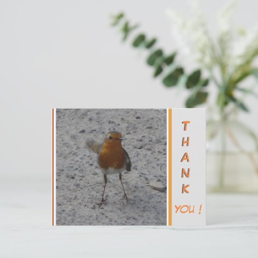 Cute Robin DANK JE Briefkaart (Staand voorkant)