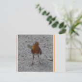 Cute Robin DIY Briefkaart (Staand voorkant)