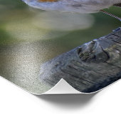 Cute Robin Foto Afdruk (Hoek)