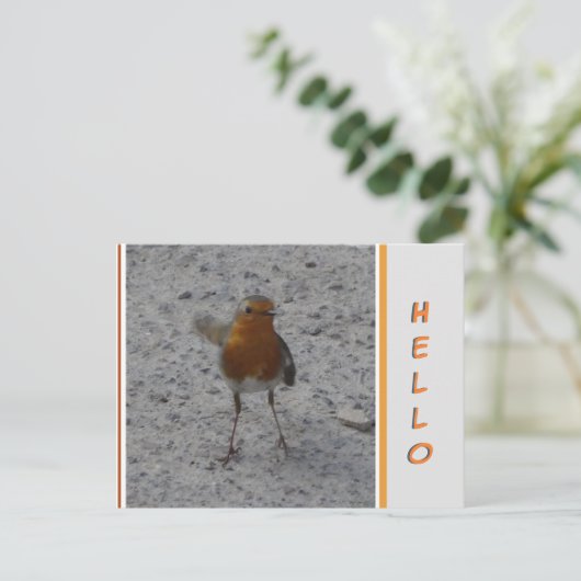 Cute Robin HALLO Briefkaart (Staand voorkant)