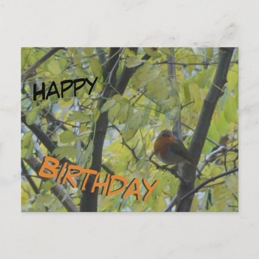 Cute Robin in Boom Verjaardagskaart Briefkaart (Voorkant)