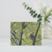 Cute Robin in Tree DIY Briefkaart (Staand voorkant)