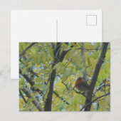 Cute Robin in Tree DIY Briefkaart (Voorkant / Achterkant)