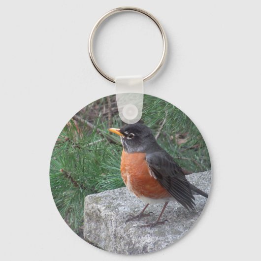 Cute Robin in tuinfoto Sleutelhanger (Voorkant)