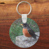 Cute Robin in tuinfoto Sleutelhanger (Voorkant)