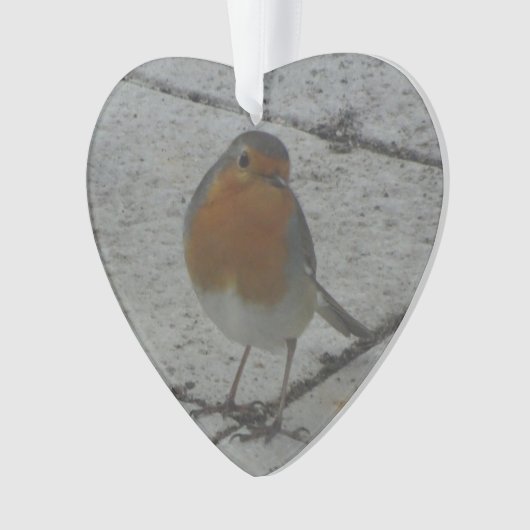 Cute Robin Kerstornament Ornament (voorkant)
