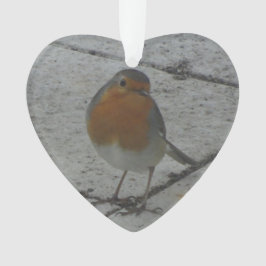 Cute Robin Kerstornament Ornament