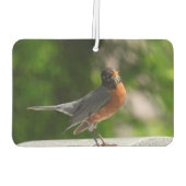 Cute Robin Luchtverfrisser (Achterkant)