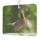 Cute Robin Luchtverfrisser (Links)