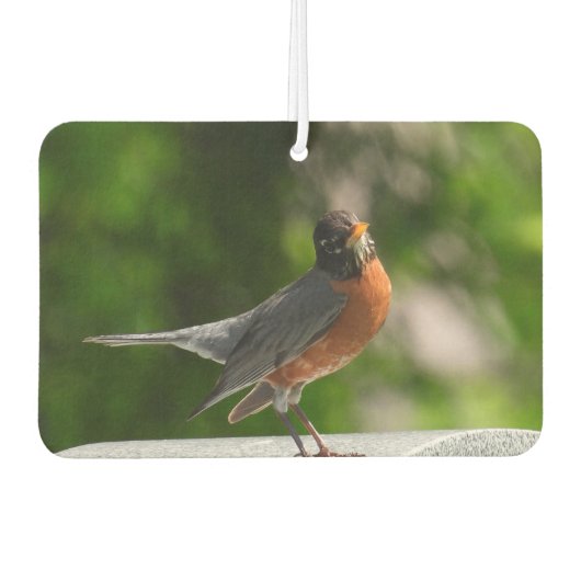 Cute Robin Luchtverfrisser (Voorkant)