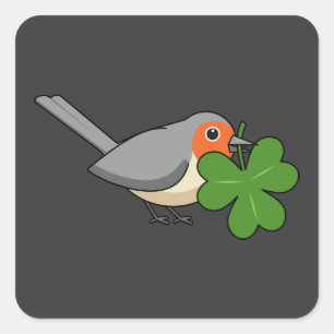 Cute Robin met Shamrock Clover-Cartoon Vierkante Sticker