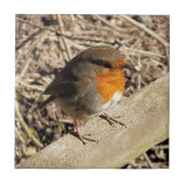 CUTE ROBIN TEGELTJE (Voorkant)