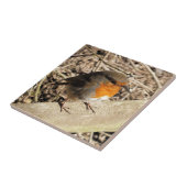 CUTE ROBIN TEGELTJE (Zijkant)