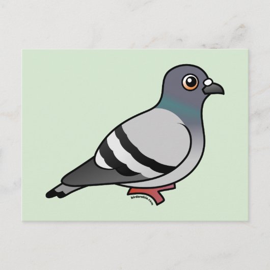 Cute Rock Pigeon Briefkaart (Voorkant)