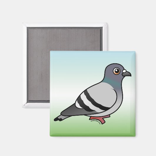Cute Rock Pigeon Magneet (Voorkant / Achterkant)