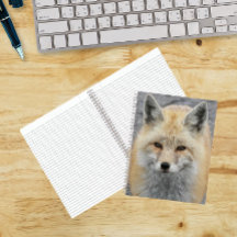 Cute Rode Vos Foto