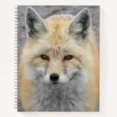 Cute Rode Vos Foto Notitieboek (Voorkant)