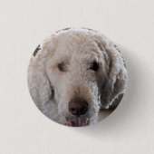 Cute Ronde Button 3,2 Cm (Voorkant)