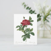 Cute  Roos Botanical Beauful Floral Briefkaart (Staand voorkant)