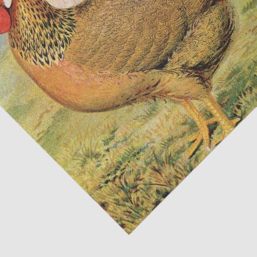 Cute Rooster en hen party Tissuepapier (Detail)