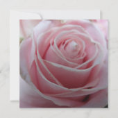 Cute Rose Flower Card (Voorkant)