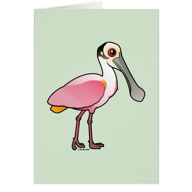 Cute Roseate Spoonbill (Voorkant)