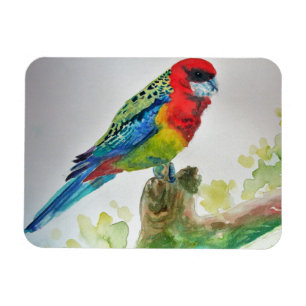 Cute Rosella Parrots vogel Waterverf Art Magnet Magneet
