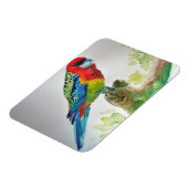 Cute Rosella Parrots vogel Waterverf Art Magnet Magneet (Linkerzijde)