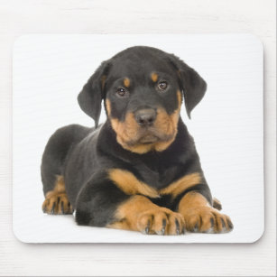 Cute Rottie Puppy Dog Gift Rottweiler Muismat