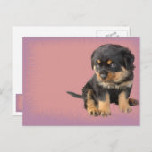 Cute Rottweiler Birthday Briefkaart (Voorkant / Achterkant)
