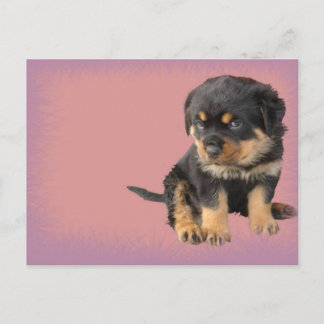 Cute Rottweiler Birthday Briefkaart
