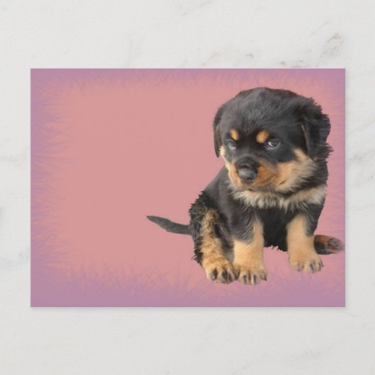 Cute Rottweiler Birthday Briefkaart (Voorkant)