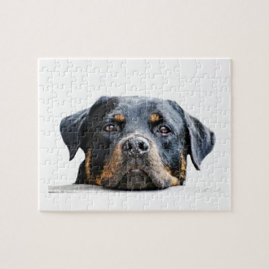 Cute Rottweiler | Hondenras Face Legpuzzel (Horizontaal)